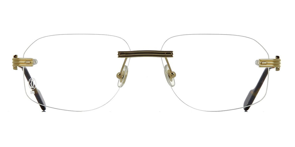 Cartier CT0284O 002 Glasses